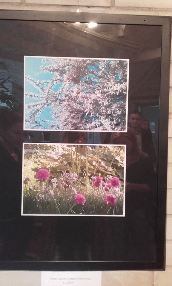 Klmanapi fotoplyzat djtadja